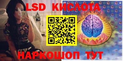 спайс Новодвинск