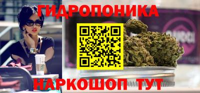 спайс Новодвинск