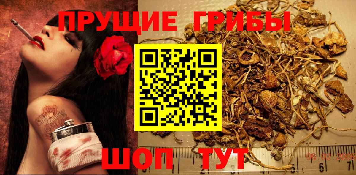 Галлюциногенные грибы мухоморы Сертолово